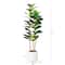 5ft. Fiddle Leaf Tree in Decorative White Planter